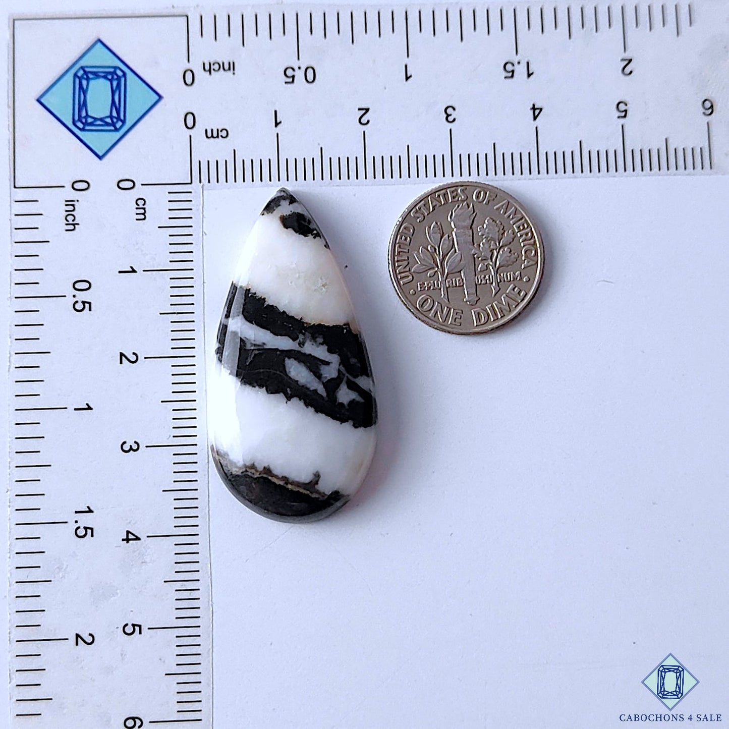 Zebra Jasper