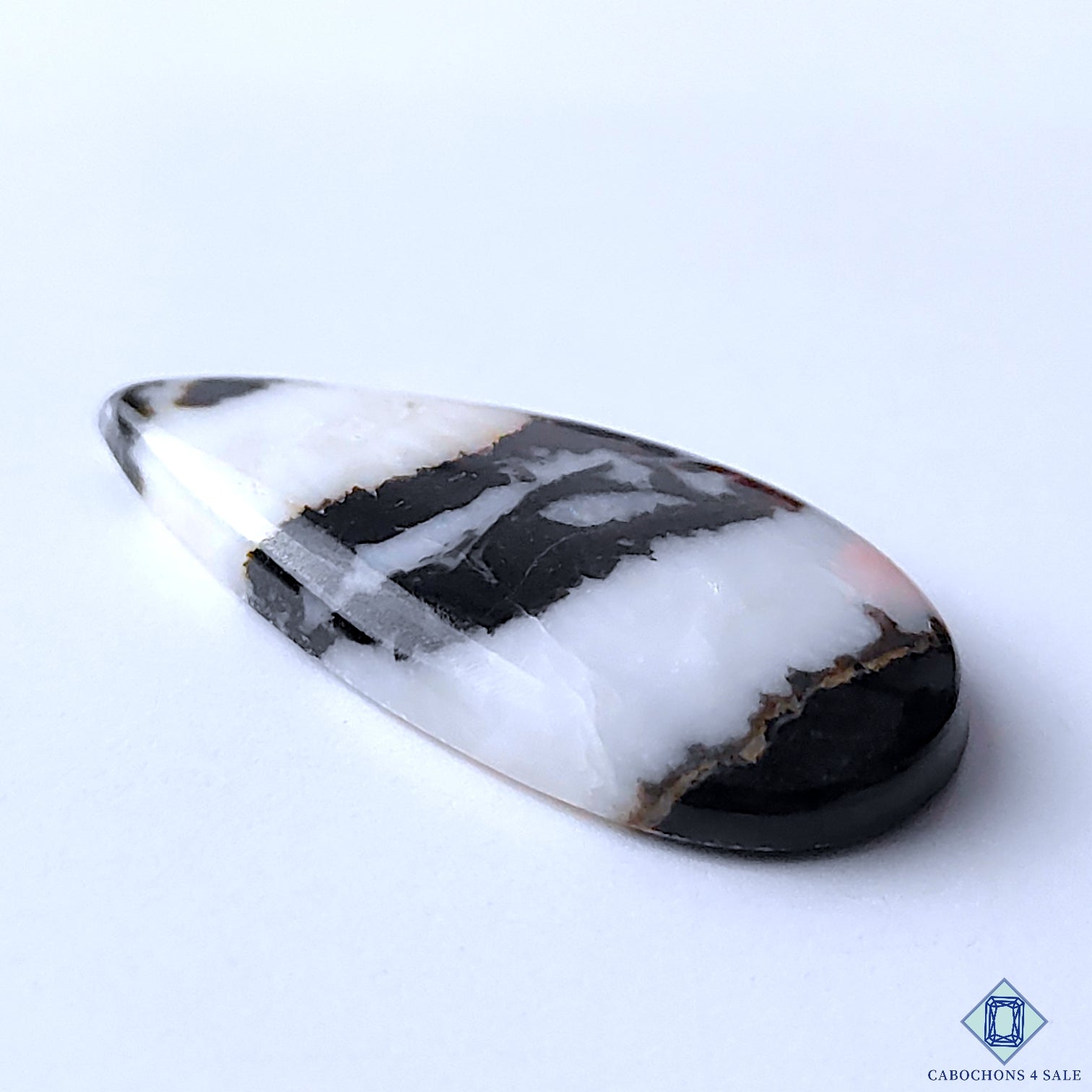 Zebra Jasper