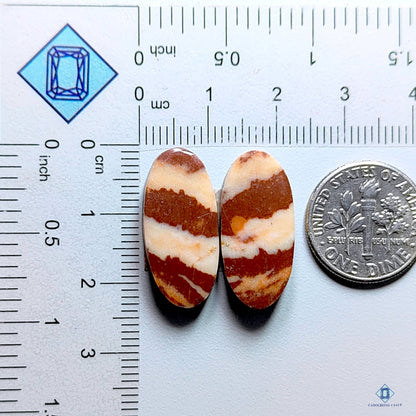 Zebra Jasper Oval Pairs