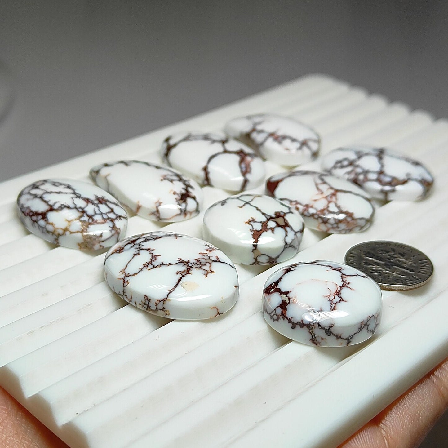 Natural Wild Horse Jasper Gemstone Cabochons | Brown White Pattern Stone for Rings, Pendants