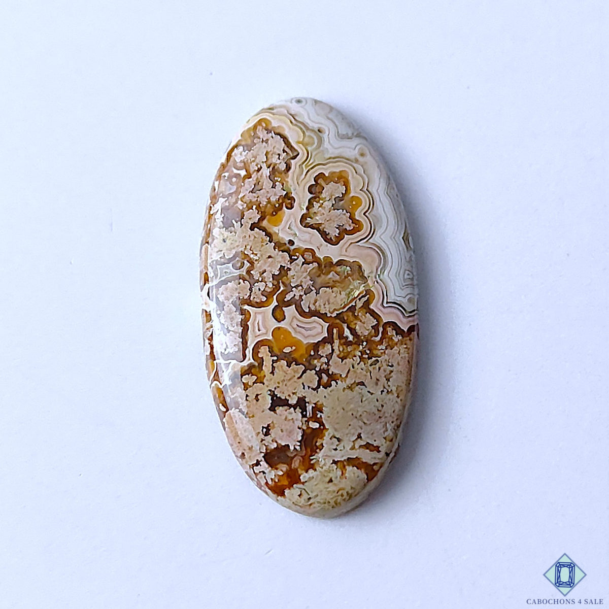 Premium Crazy Lace Agate Oval Cabochons 27x14x3mm