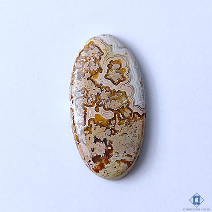 Premium Crazy Lace Agate Oval Cabochons 27x14x3mm