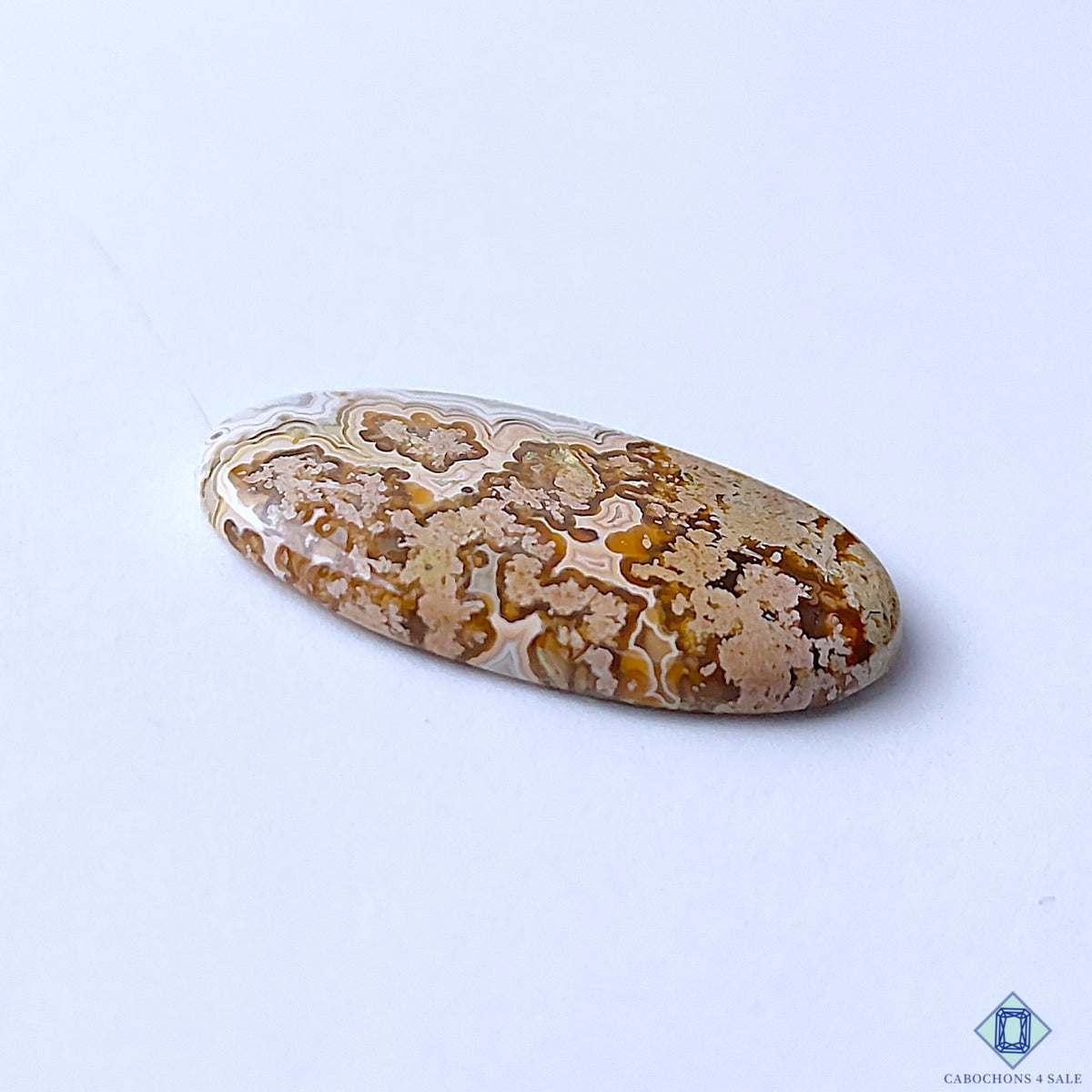Premium Crazy Lace Agate Oval Cabochons 27x14x3mm