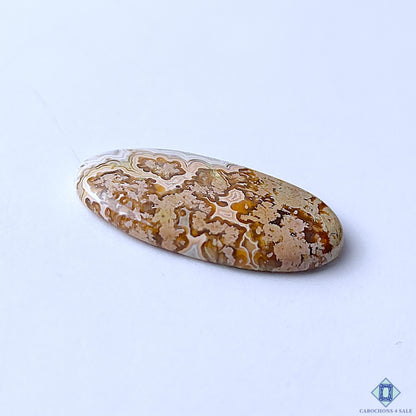 Premium Crazy Lace Agate Oval Cabochons 27x14x3mm