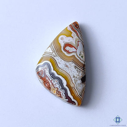 Authentic Crazy Lace Agate Fancy Cabochons 32x19x6mm
