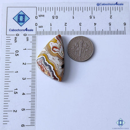 Authentic Crazy Lace Agate Fancy Cabochons 32x19x6mm