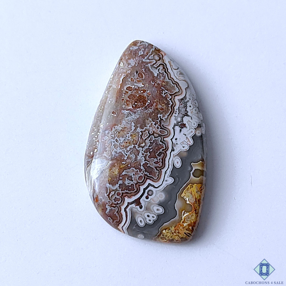 Rare Crazy Lace Agate Fancy Cabochons 32x18x4mm
