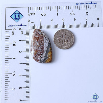 Rare Crazy Lace Agate Fancy Cabochons 32x18x4mm