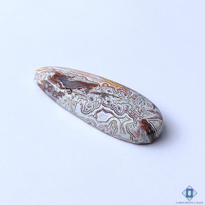 Natural Crazy Lace Agate Pear Cabochons 31x12x5mm