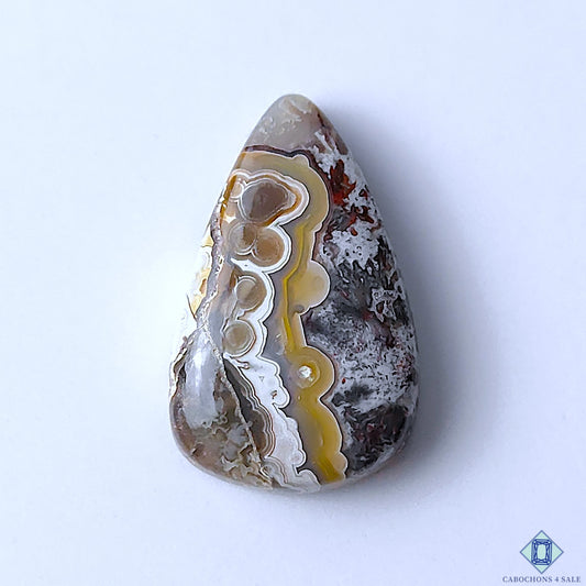 Genuine Crazy Lace Agate Pear Cabochons 29x18x6mm