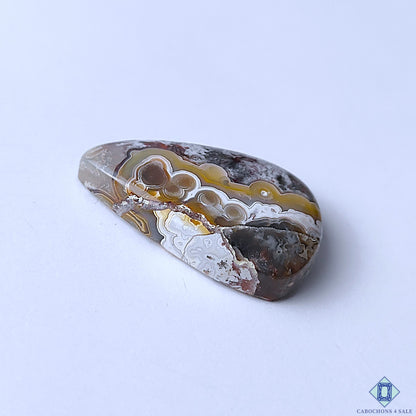 Genuine Crazy Lace Agate Pear Cabochons 29x18x6mm