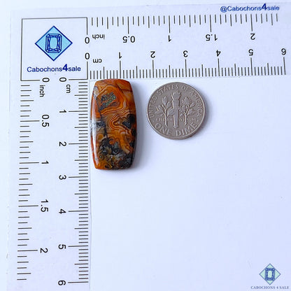 Crazy Lace Agate Rectangle Cabochons 28x14x4mm