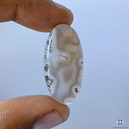 Natural Moss Agate Oval Cabochons 32x17x4mm