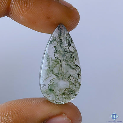 Moss Agate Pear Cabochons 27x14x4mm