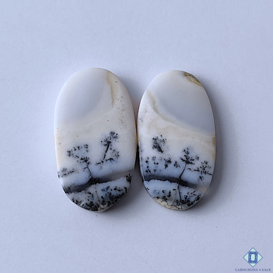 Dendritic Agate Oval Pairs