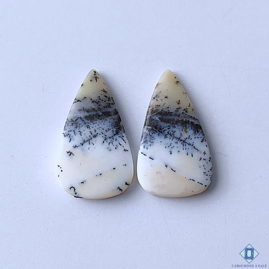 Dendritic Agate Pear Pairs