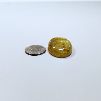 Yellow Appatite