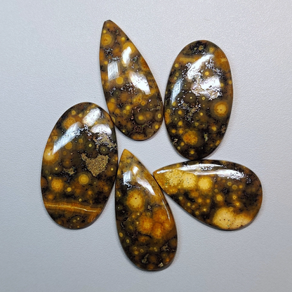 Ocean Jasper