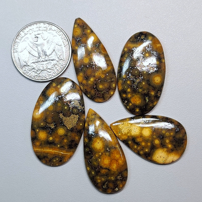 Ocean Jasper