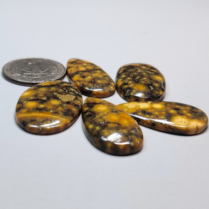 Ocean Jasper