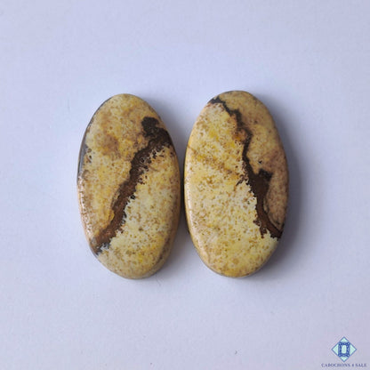 Picture Jasper Oval Cabochons 22x12x3mm