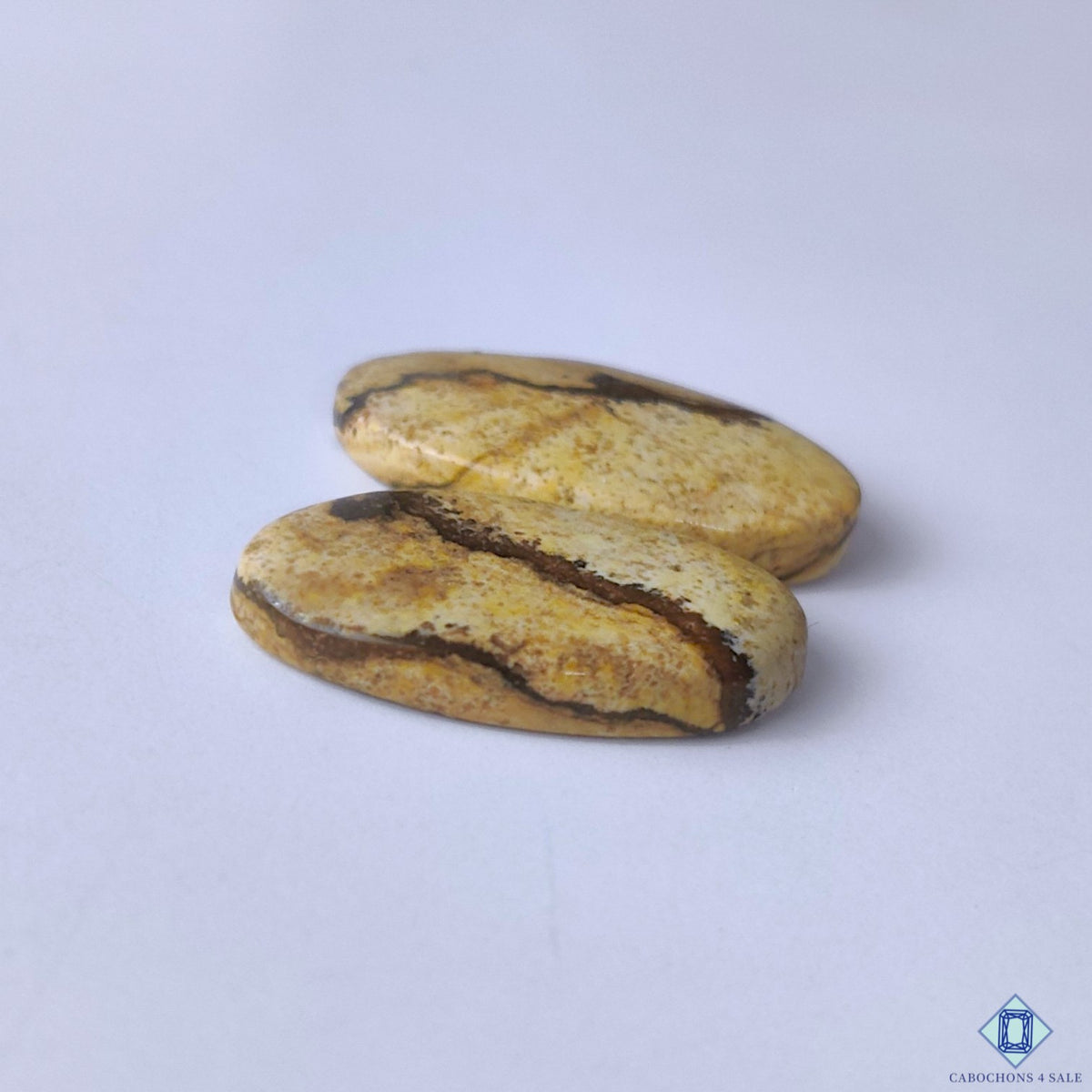 Picture Jasper Oval Cabochons 22x12x3mm