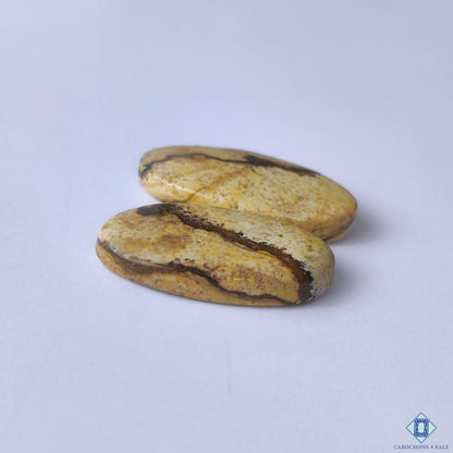 Picture Jasper Oval Cabochons 22x12x3mm