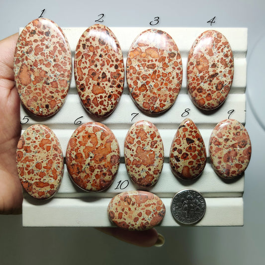 Asteroid Jasper Gemstone for Jewelry Making | Natural Jasper Loose Stone | High Quality Cabochon | Unique Pattern Gemstone