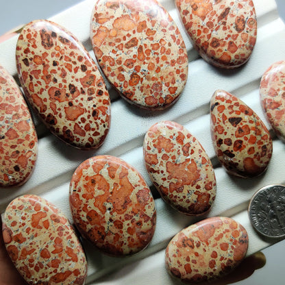 Asteroid Jasper Gemstone for Jewelry Making | Natural Jasper Loose Stone | High Quality Cabochon | Unique Pattern Gemstone