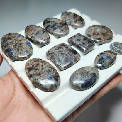 Natural Larvikite Gemstone | Black Labradorite Stone | Flashy Polished Loose Stones for Jewelry Making | Multiple Sizes