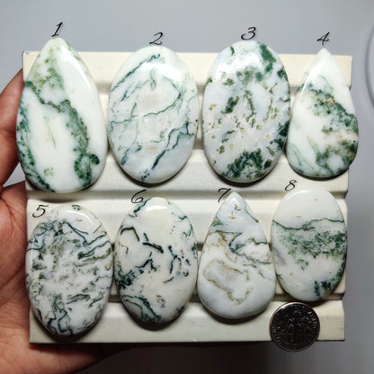 Tree Moss Agate Cabochons for Jewelry Making | Natural Agate Gemstone