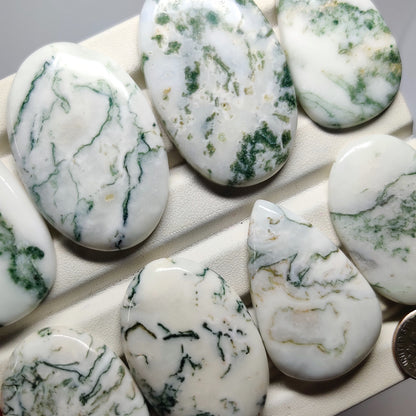 Tree Moss Agate Cabochons for Jewelry Making | Natural Agate Gemstone