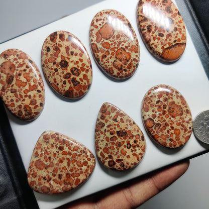 Asteroid Jasper Cabochons for Jewelry Making | Natural Asteroid Jasper Gemstone