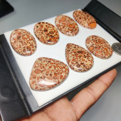Asteroid Jasper Cabochons for Jewelry Making | Natural Asteroid Jasper Gemstone