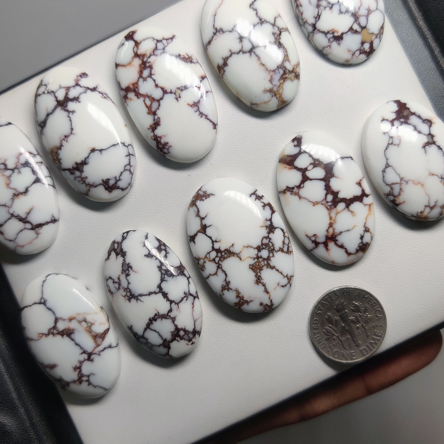 Natural Wild Horse Jasper Gemstone Cabochons | White Black Pattern Stone for Rings, Pendants