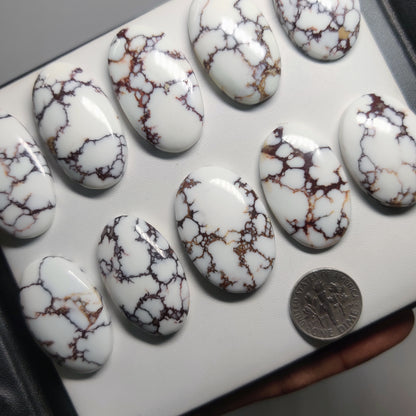Natural Wild Horse Jasper Gemstone Cabochons | White Black Pattern Stone for Rings, Pendants