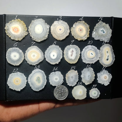 Rare Solar Quartz Cabochon | Concentric Crystal Pattern Gemstone for Designer Jewelry