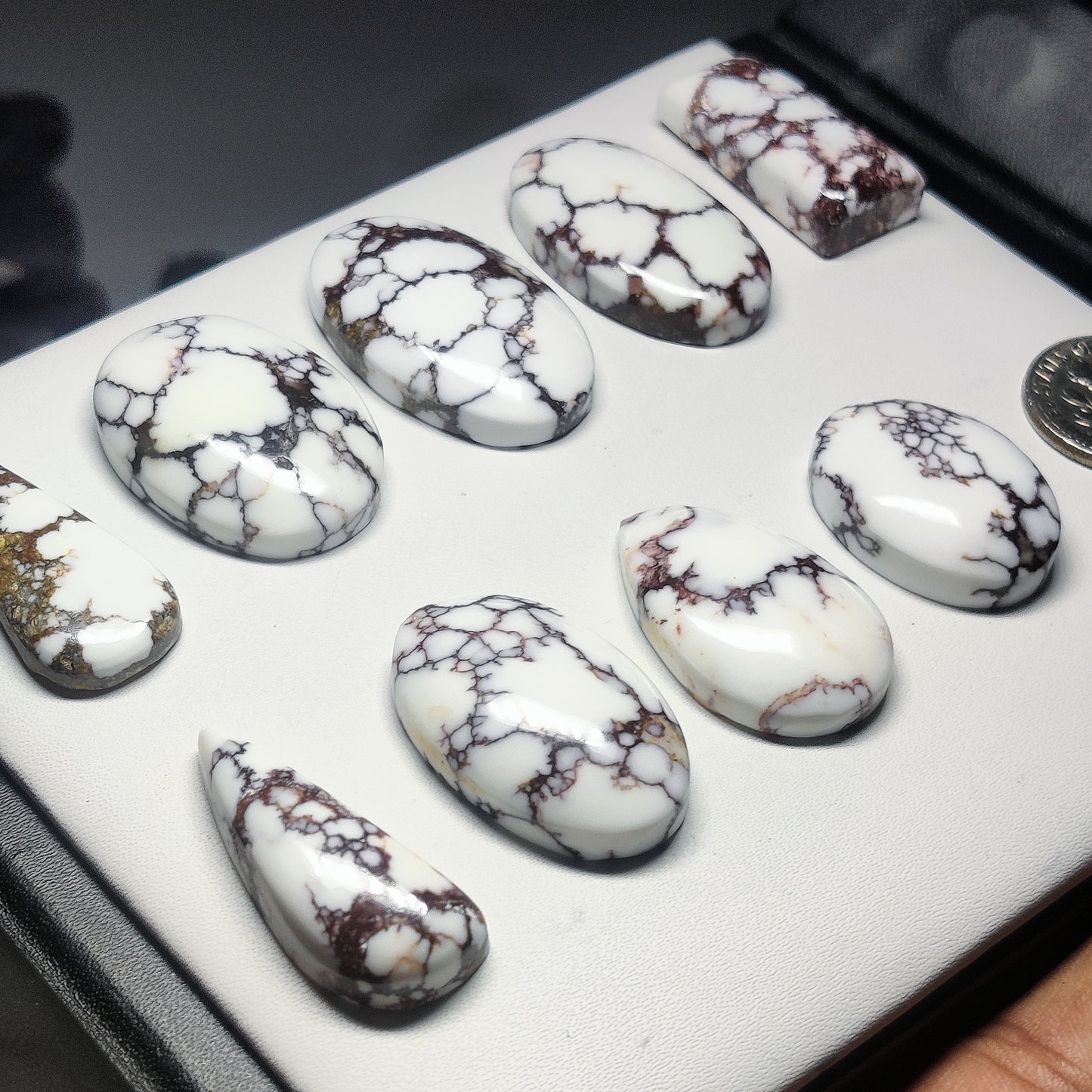 Natural Wild Horse Jasper Gemstone | White & Brown Cabochon for Jewelry Making