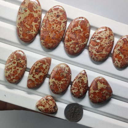 Natural Asteroid Jasper Gemstone Cabochon for Jewelry Making | Cosmic Pattern Loose Stone | Premium Polished Jasper for Rings Pendants