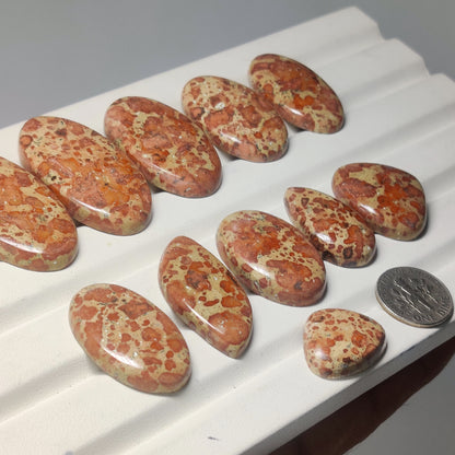 Natural Asteroid Jasper Gemstone Cabochon for Jewelry Making | Cosmic Pattern Loose Stone | Premium Polished Jasper for Rings Pendants