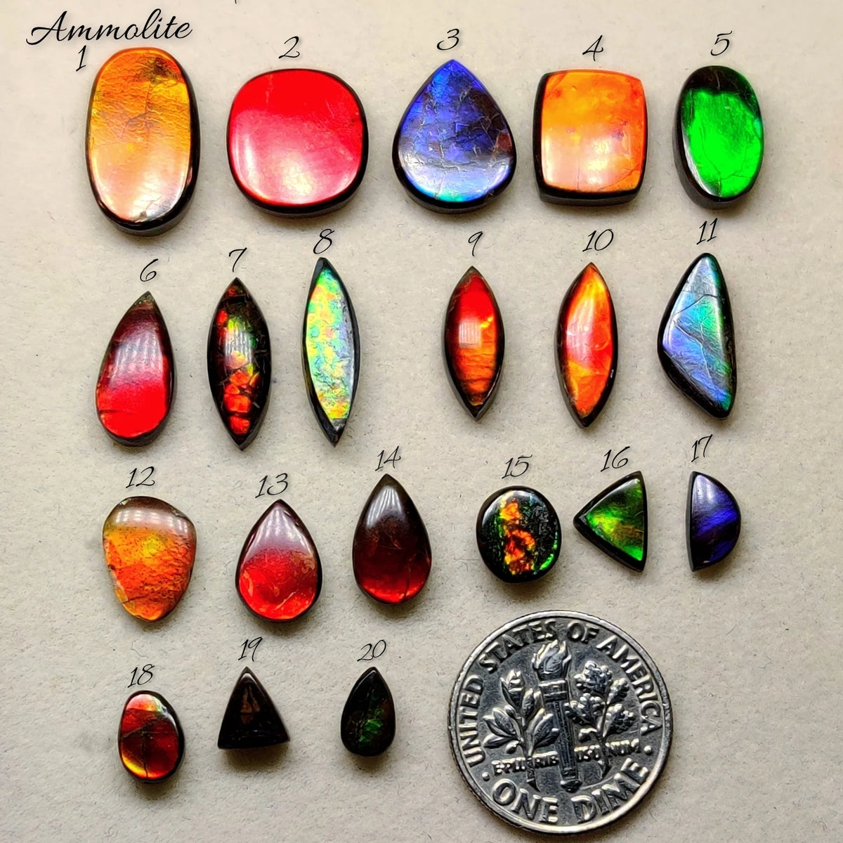 Natural Ammolite Gemstone | Iridescent Fossil Cabochon for Luxury Jewelry Making