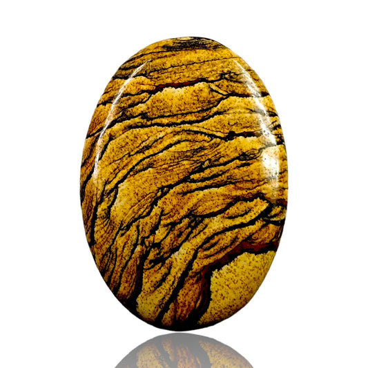 PICTURE JASPER