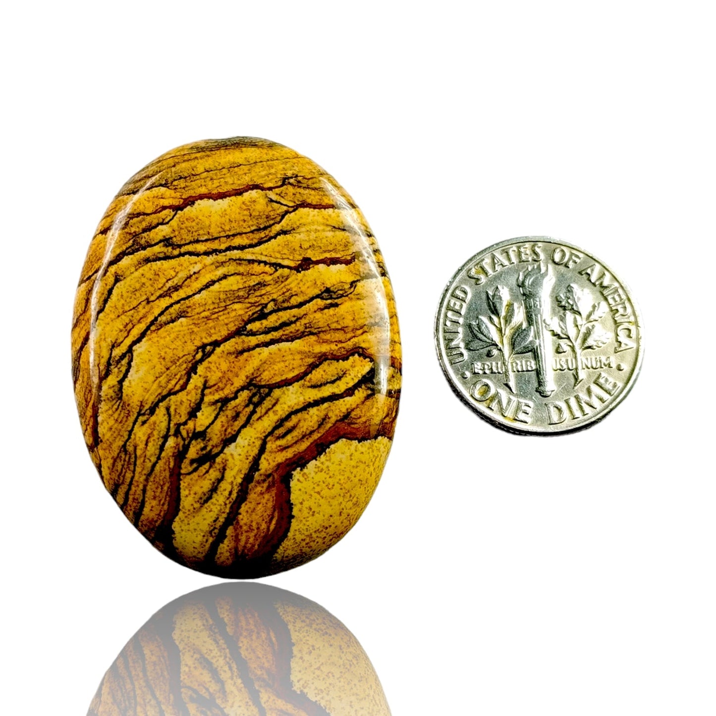 PICTURE JASPER