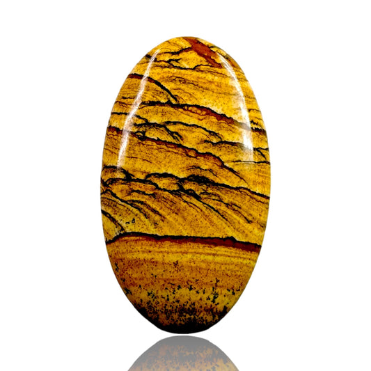 PICTURE JASPER