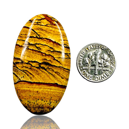 PICTURE JASPER