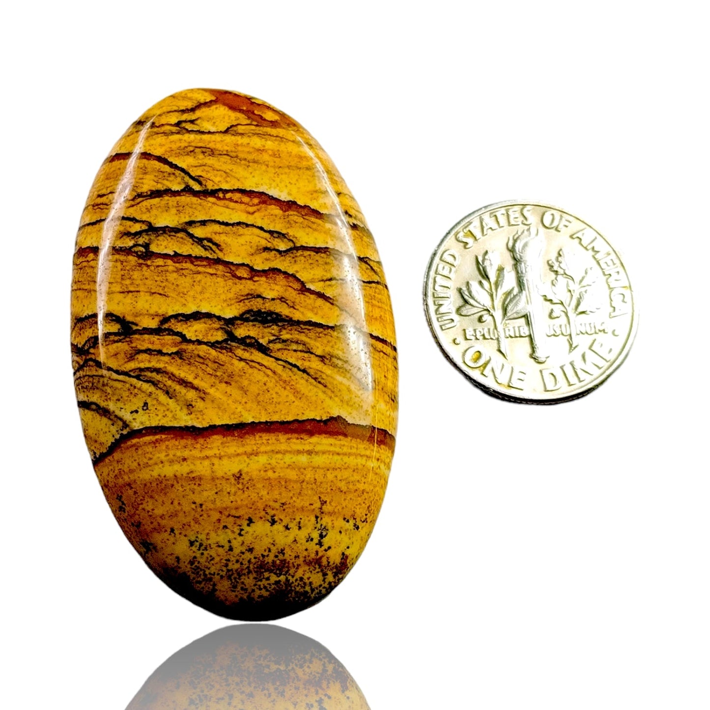 PICTURE JASPER