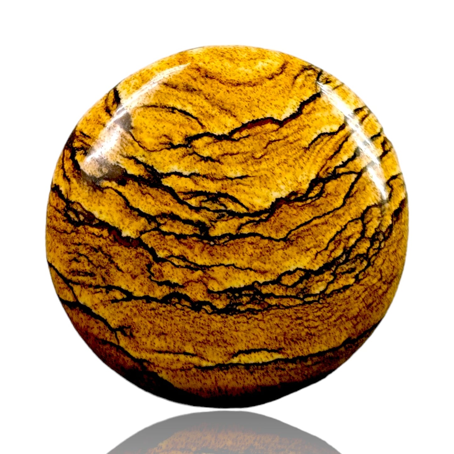 PICTURE JASPER