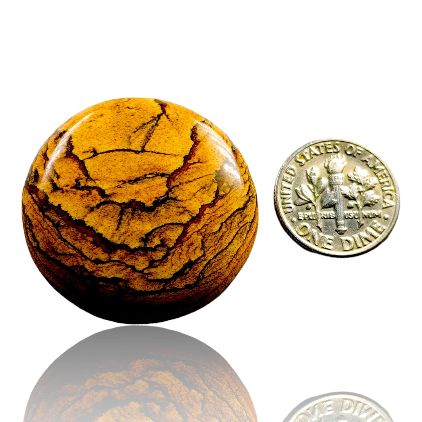 PICTURE JASPER