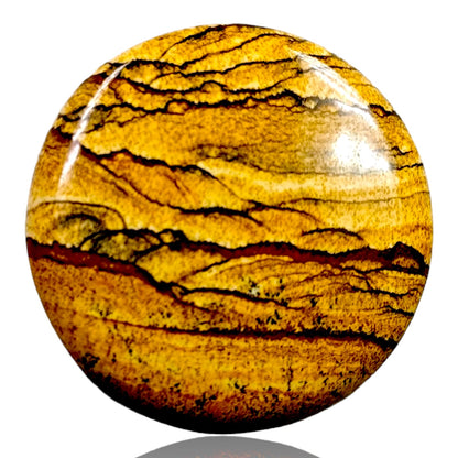 PICTURE JASPER