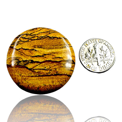 PICTURE JASPER